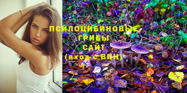 эйфоретик Баксан