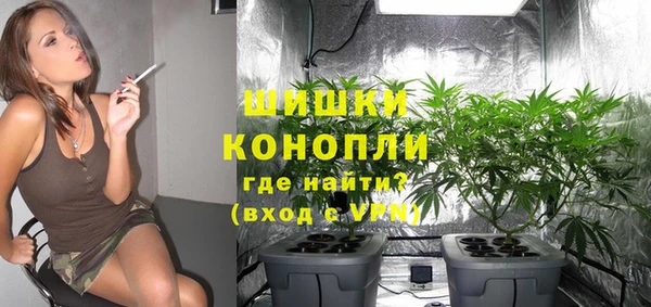 ГАЛЛЮЦИНОГЕННЫЕ ГРИБЫ Балахна