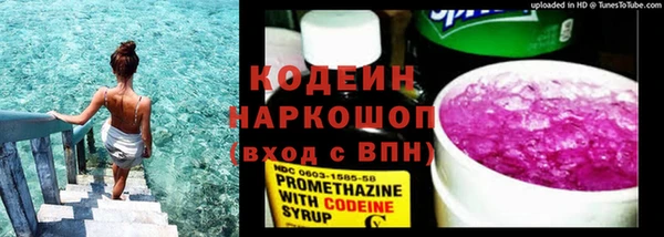 ГАЛЛЮЦИНОГЕННЫЕ ГРИБЫ Балахна