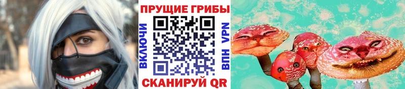 блэк спрут как войти  Демидов  Псилоцибиновые грибы Cubensis 